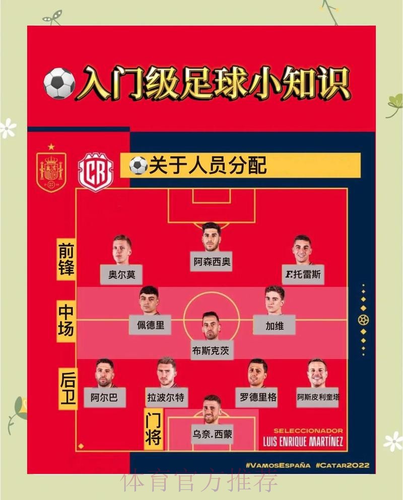 世界杯让球站风险评估与规避方法 世界杯让球站风险评估与规避方法